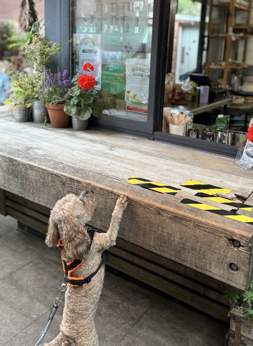 Favourite place. Thank you ⁦<a href="/SecretGardenCF/">Secret Garden Cafe, Bute Park Cardiff</a>⁩ #ButePark 🐾❤️