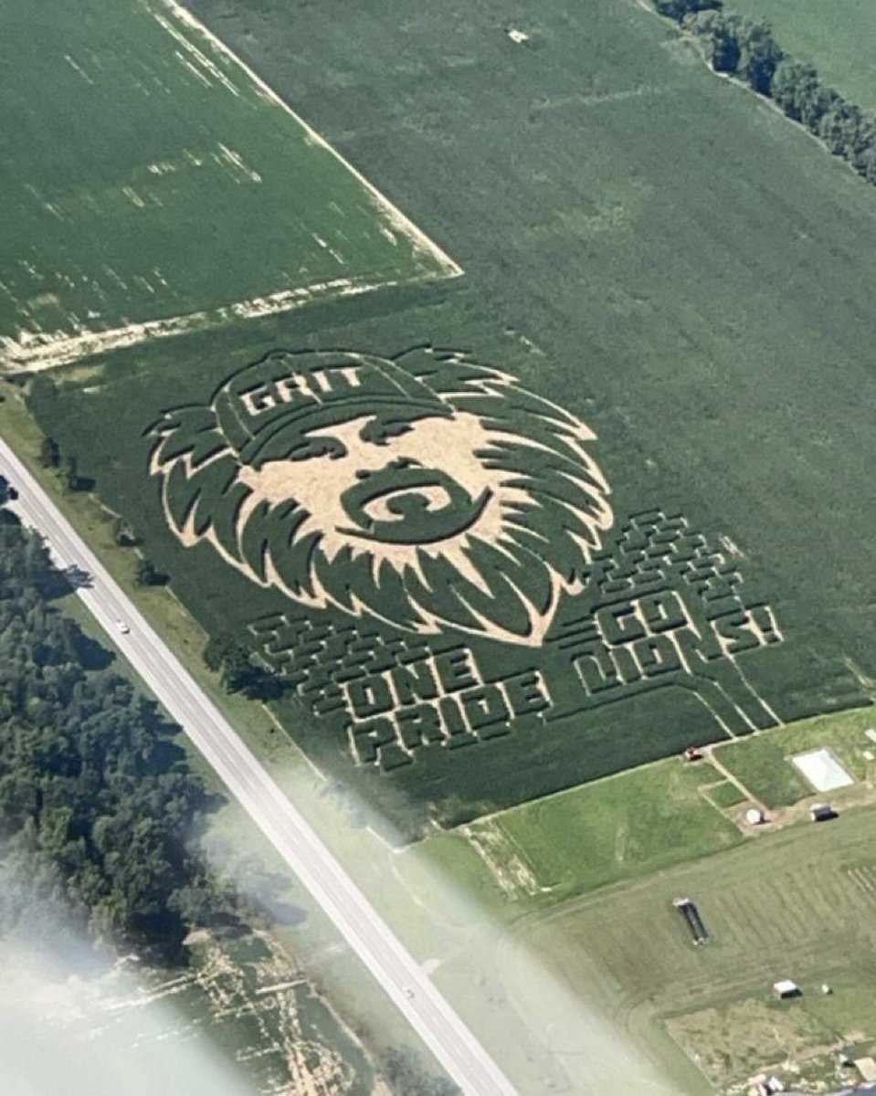 Deadspin's tweet image. Detroit loves Dan Campbell.

Check out this custom corn maze 🔥🌽

📸 via @schingeck21