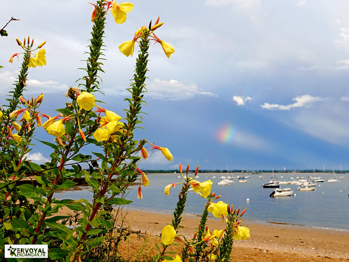 Kervoyal En Damgan tweet media