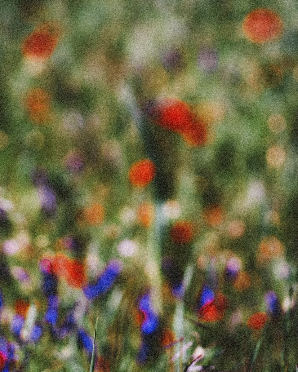 Jonathan Bertin tweet media
