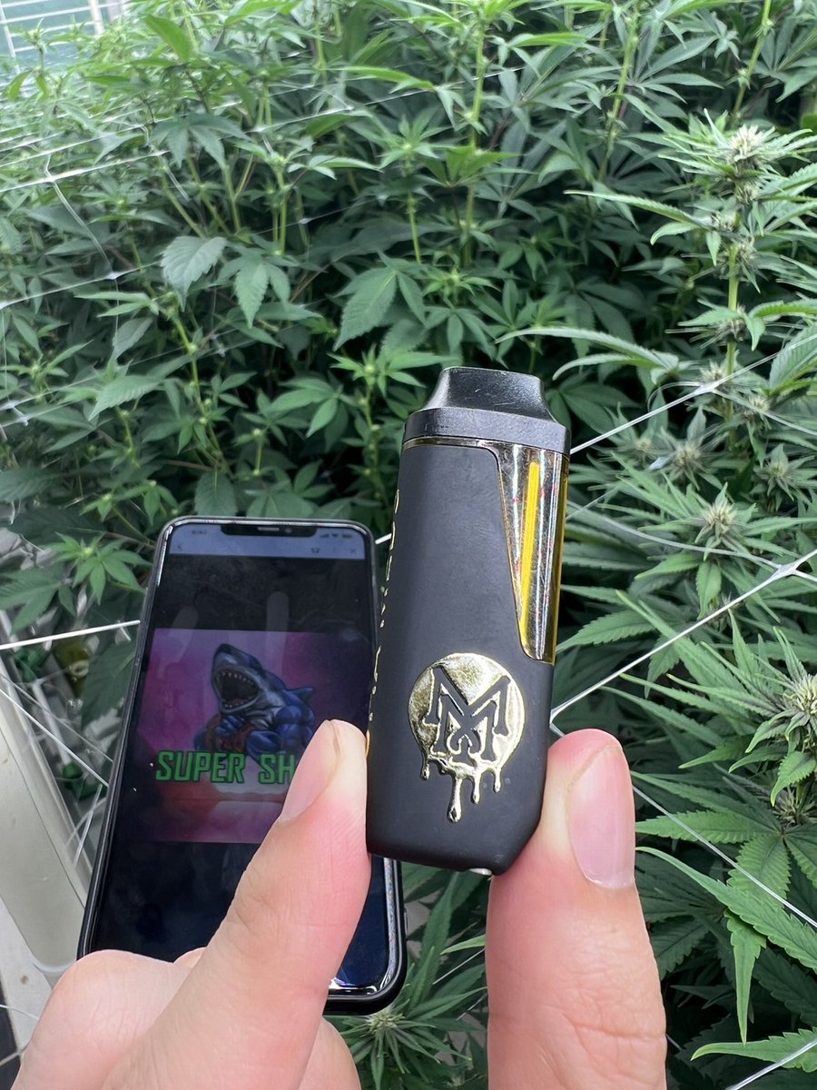 SuperWeedTH's tweet photo. พอตกัญชา เยลลี่กัญชา
Line https://t.co/5cB9X9iVYj

#กัญชาไฟฟ้า #เยลลี่กัญชา #คุกกี้กัญชา #พอตกัญชา #บราวนี่กัญชา #OG #คลองสาม #กัญชาอุบล #กัญชาสกลนคร #กัญชามหาสารคาม #หนองบัวลำภู #กัญชาจันทบุรี #กัญชานนทบุรี #กัญชาแม่โจ้ #พอต #bigchief https://t.co/GZB18j0VeF