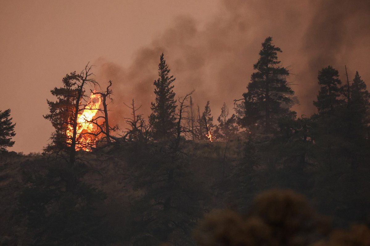 Jesse Winter tweet media