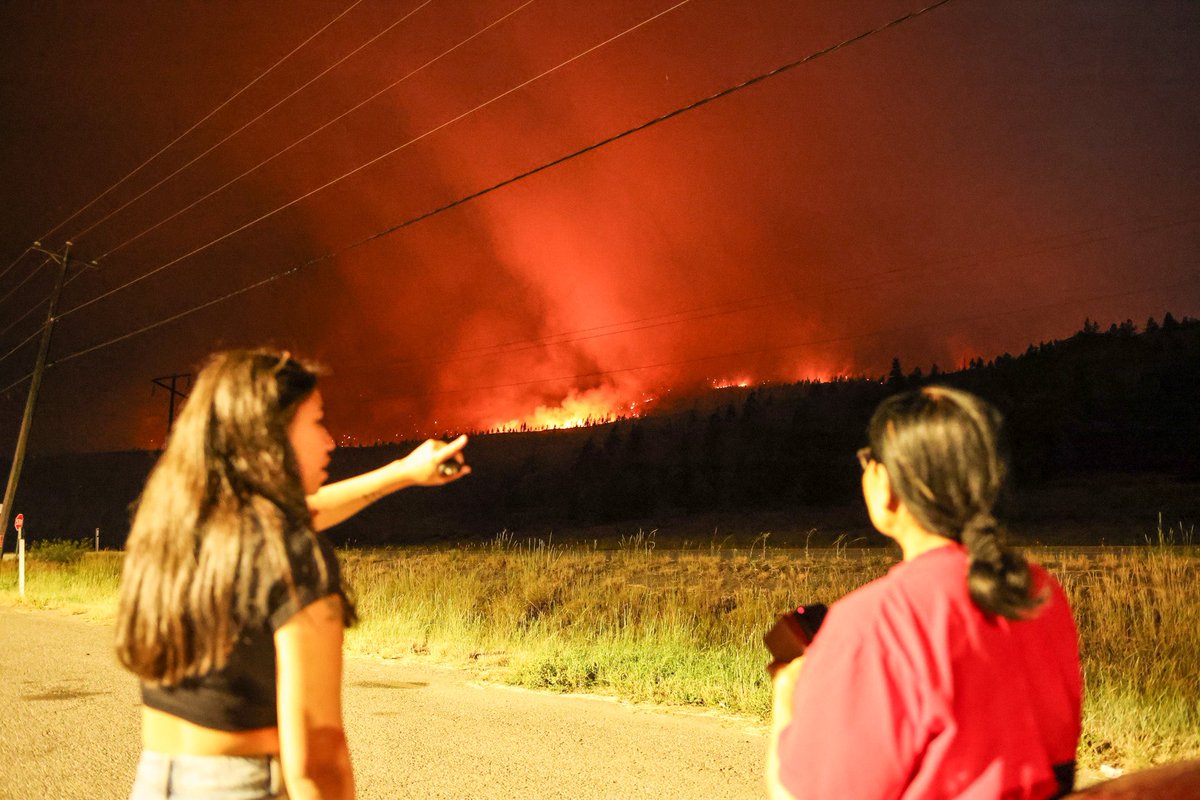 Jesse Winter tweet media