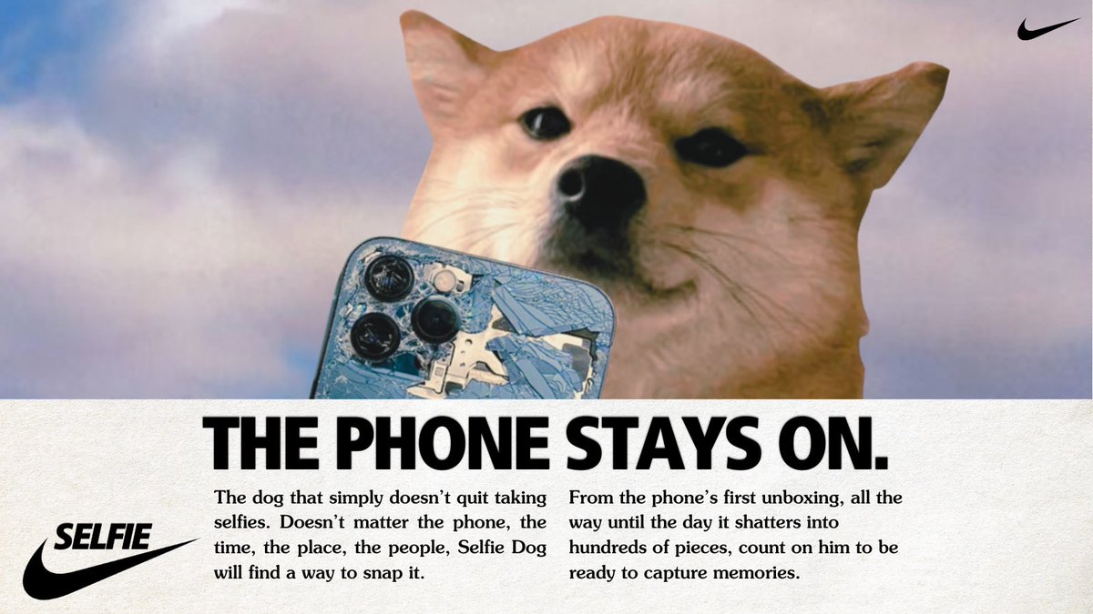 SelfieDog_SOL's tweet image. snap your greatness