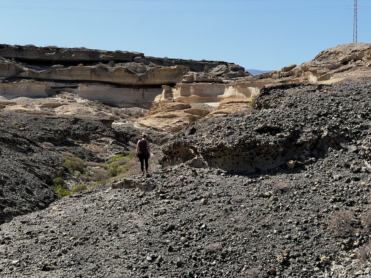 Victoria Smith tweet media