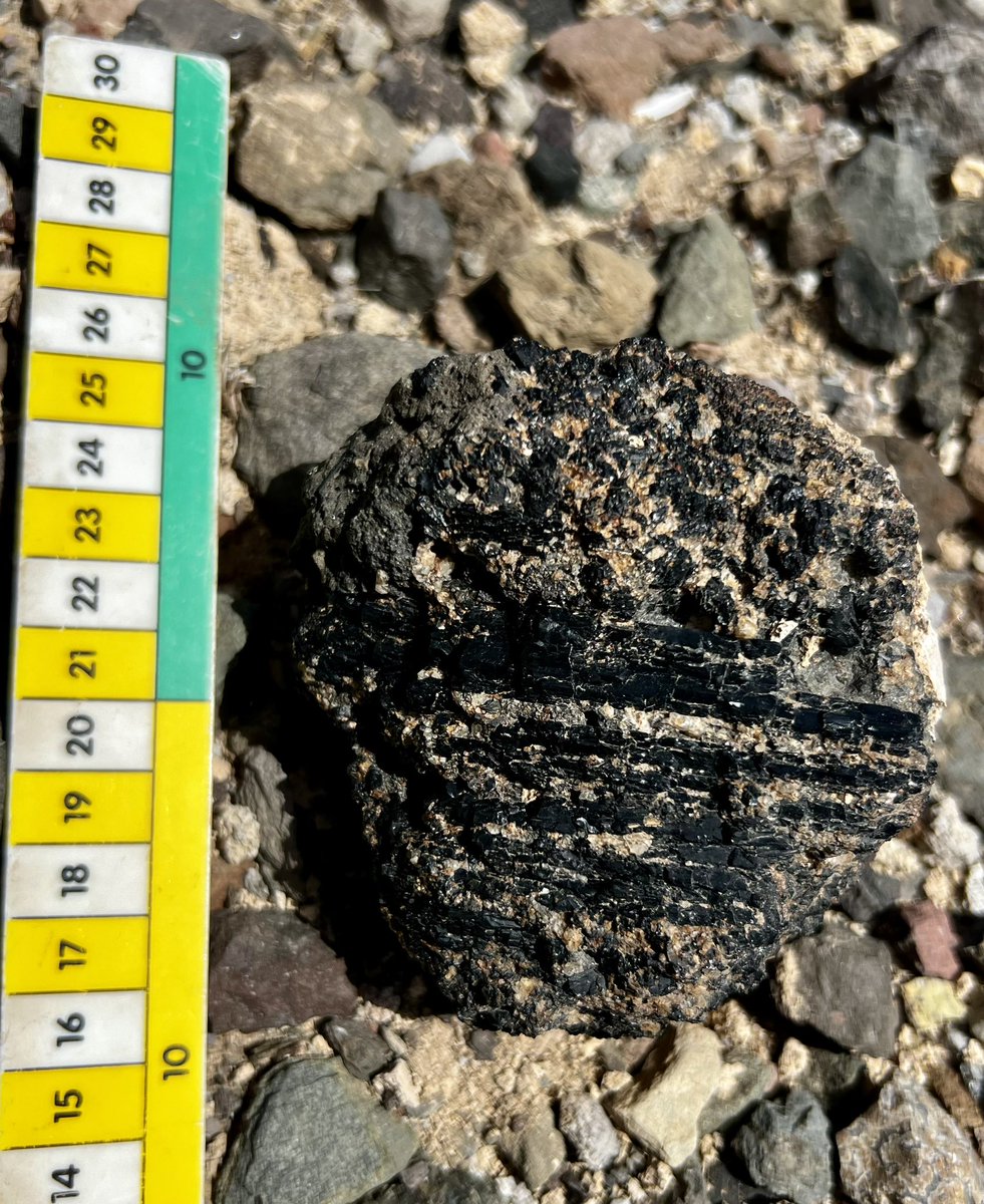 Victoria Smith tweet media