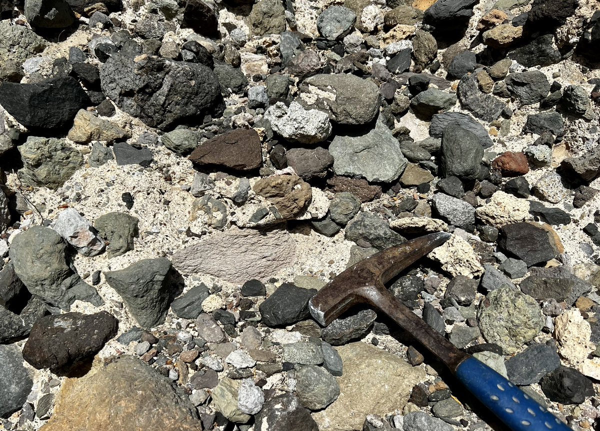 Victoria Smith tweet media