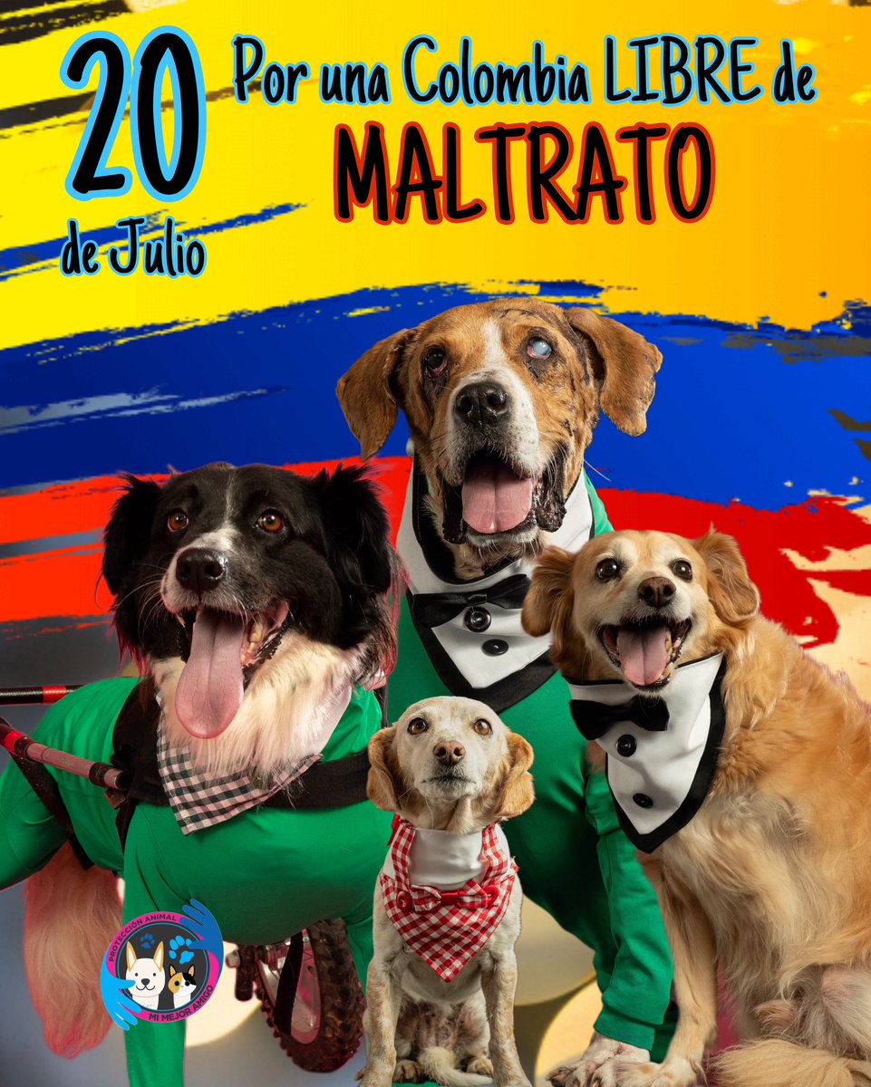 AsociacionMi's tweet photo. Cuanto anhelamos que los animales no sufran más, que fuera un 20 de julio de independencia y libre de maltrato. 
💛💙❤️ https://t.co/ZcfVMQUbBX