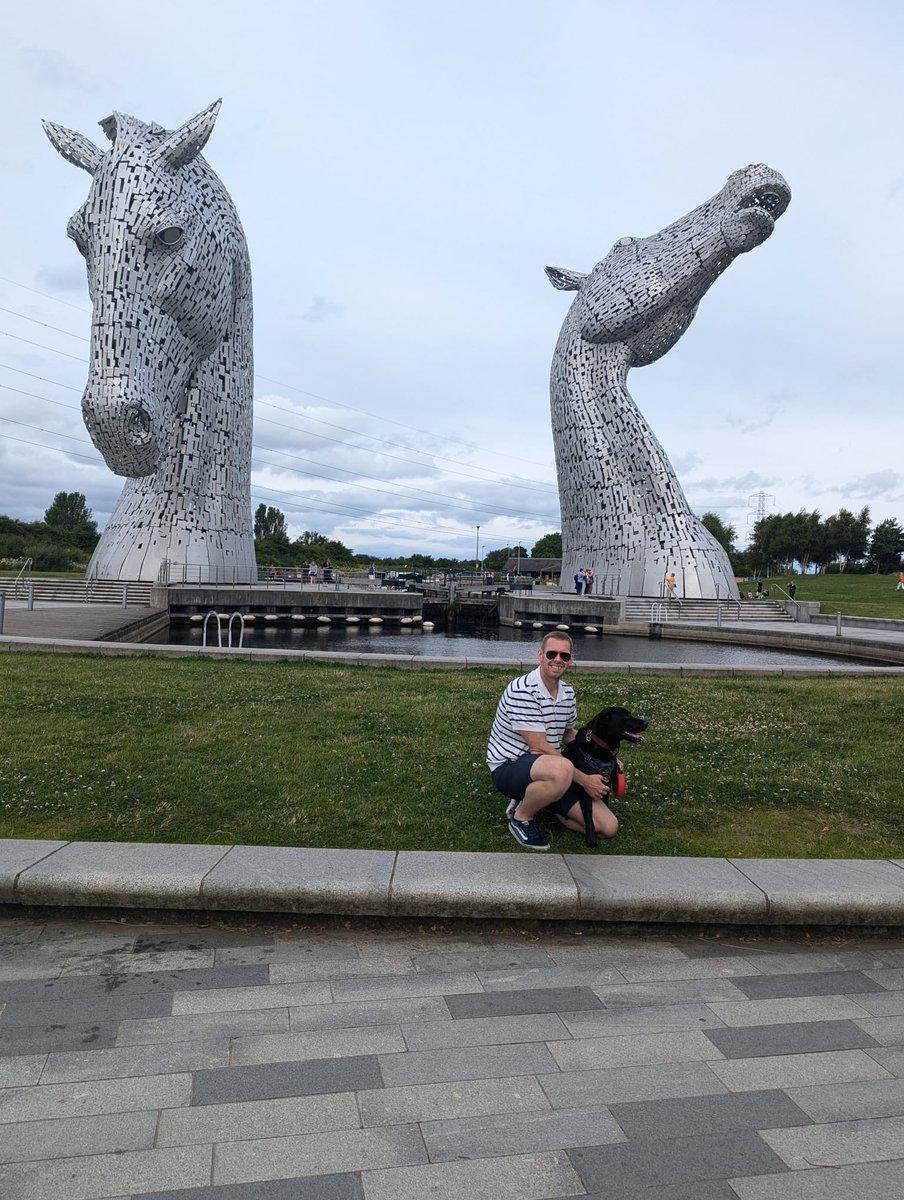 David Patrick tweet media