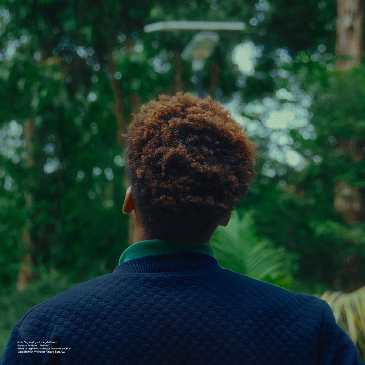 panache_zw tweet media