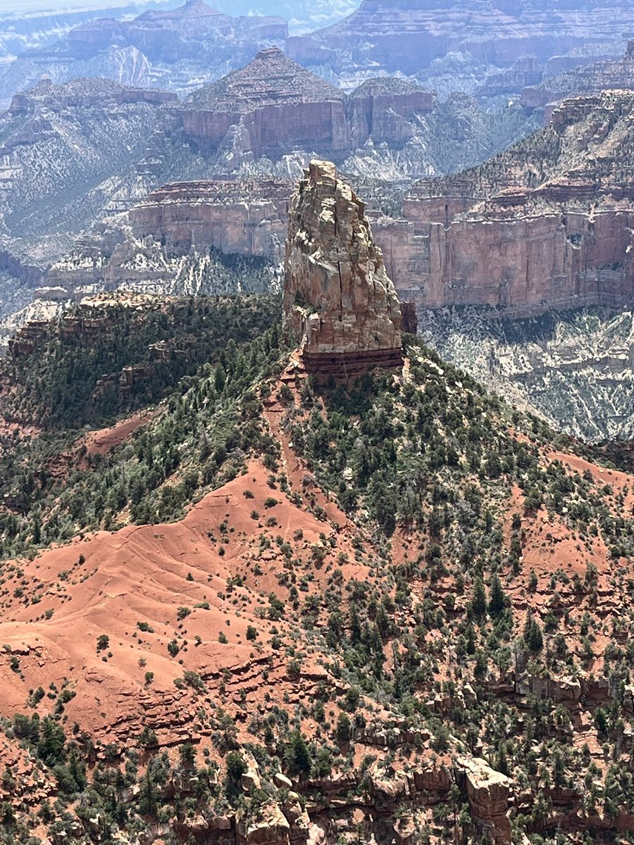 mon_lev's tweet photo. Summer HRE Bingo—Park @GrandCanyonNPS North Rim
#Summer2024 #HreHawks https://t.co/JICnrG28cx