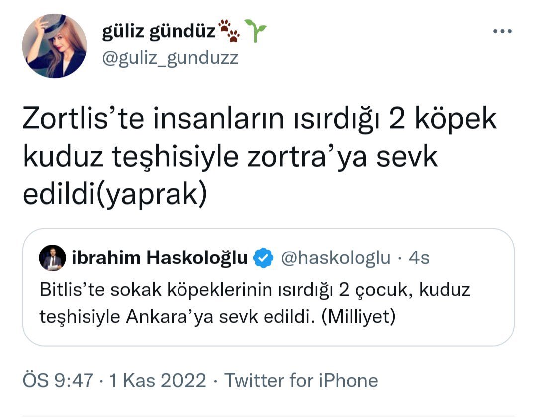 Bioterörist kahpe evlatlarını iki satır cümleyle nasıl da kudurttuk ama? Tweetin altında, üstünde, her yerinde ağlayıp kist hidatik yayıyor köpek fıtratlı kerhane imalatları.

Gerçeklerin yüzünüze vurulması rahatsız etti değil mi? Kimsenin sikmediği, aile kurmaya layık görmediği,