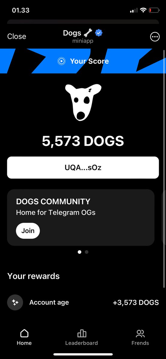 ini rill kh modal daftar dapet segini? butuh pencerahan setelah dikecewakan pixelverse

siapa tau ada yg mau join t.me/dogshouse_bot/…