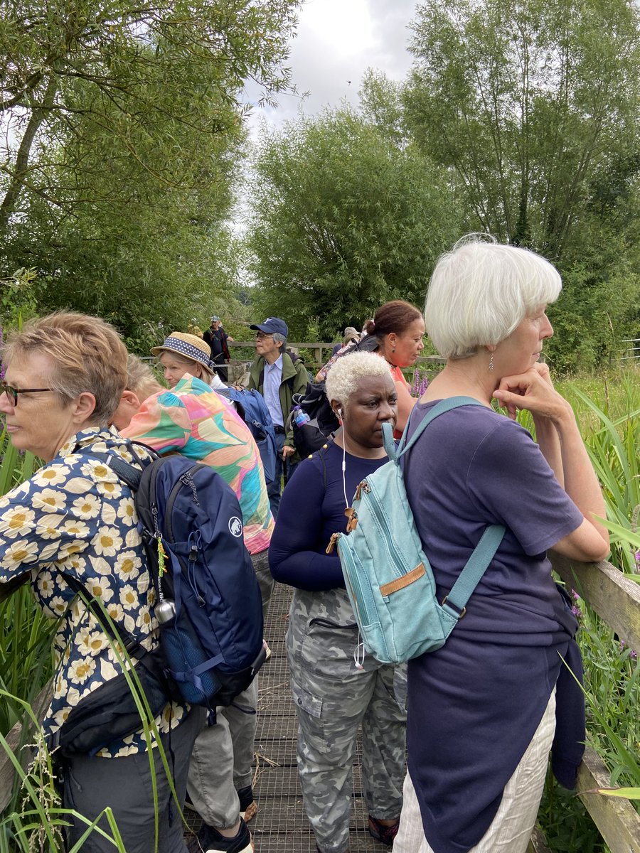 ecoSJP's tweet photo. Lovely day out in the Lea Valley today! The water voles were a bit shy but the butterflies and dragonflies were enjoying the warm weather @StJPiccadilly @bryantwenty7 https://t.co/CFhViZtXot