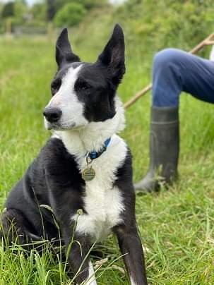 Oldies Club tweet media