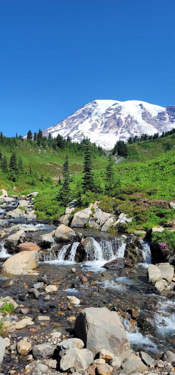 lesview's tweet image. Always an amazing time on Mount Rainier.