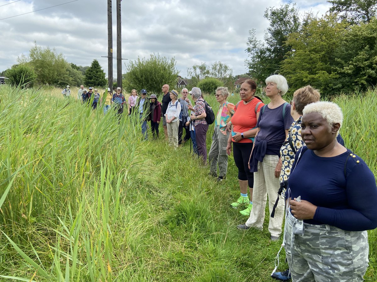 ecoSJP's tweet photo. Lovely day out in the Lea Valley today! The water voles were a bit shy but the butterflies and dragonflies were enjoying the warm weather @StJPiccadilly @bryantwenty7 https://t.co/CFhViZtXot