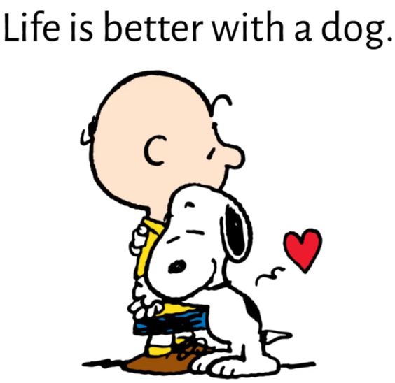 _XDogs's tweet photo. do you agree with that? 🥰 https://t.co/Dta7fJwWd9