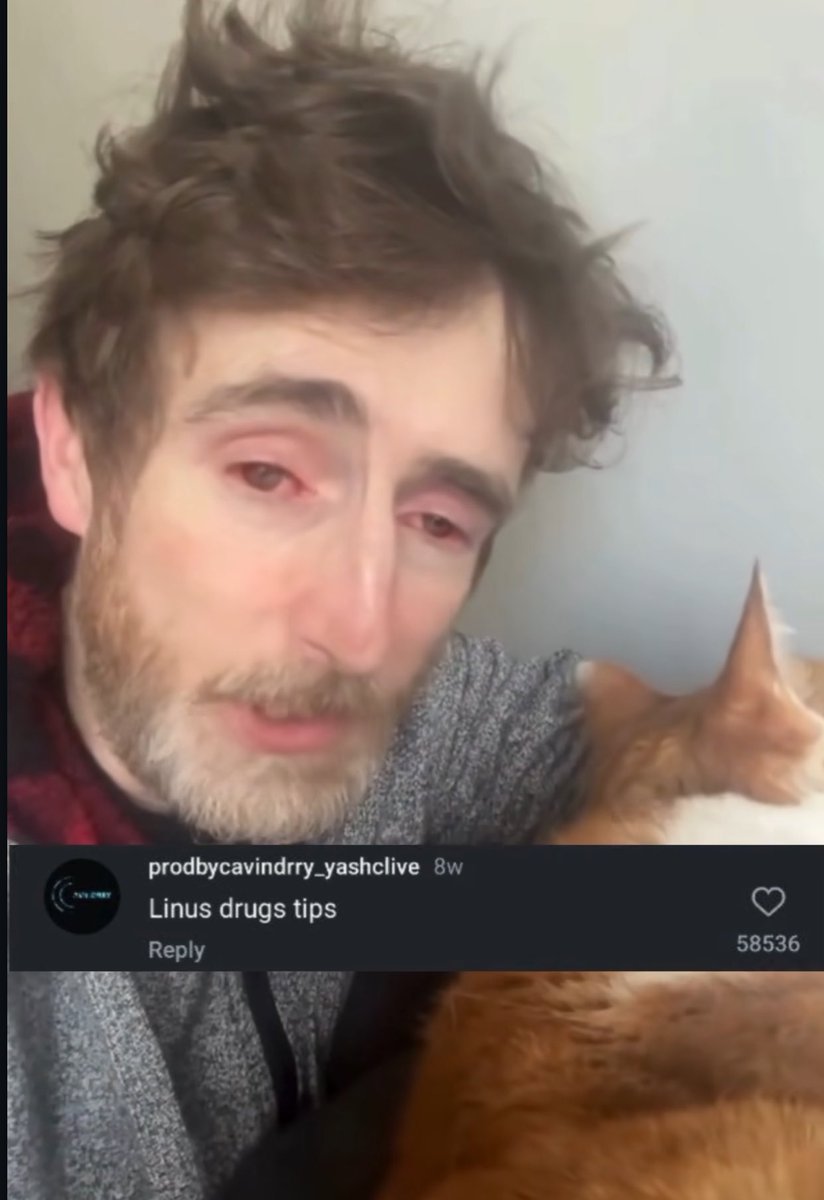 mawmet's tweet photo. @LinusTech @dbrand https://t.co/9yp17avmqD