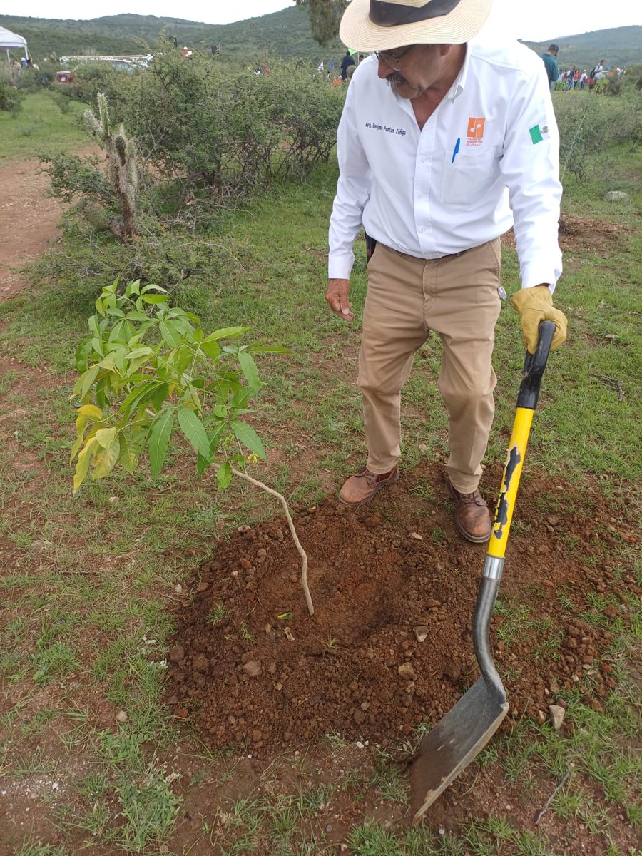 El día de hoy asistimos al Programa de Forestacion Municipal Sierra de Lobos. 

¡PLÁNTALE!