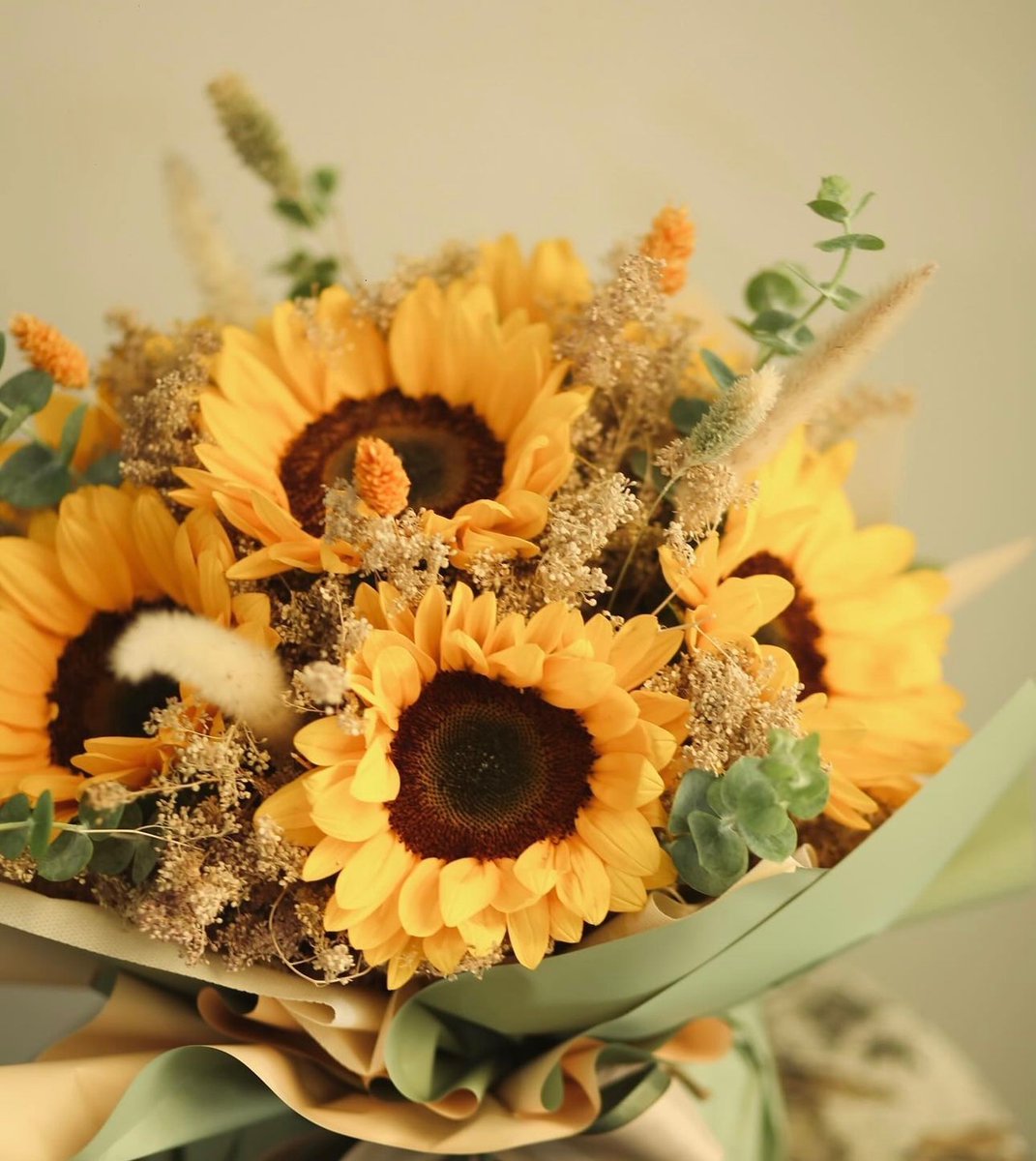 SUNFLOWER 🌻 tweet media