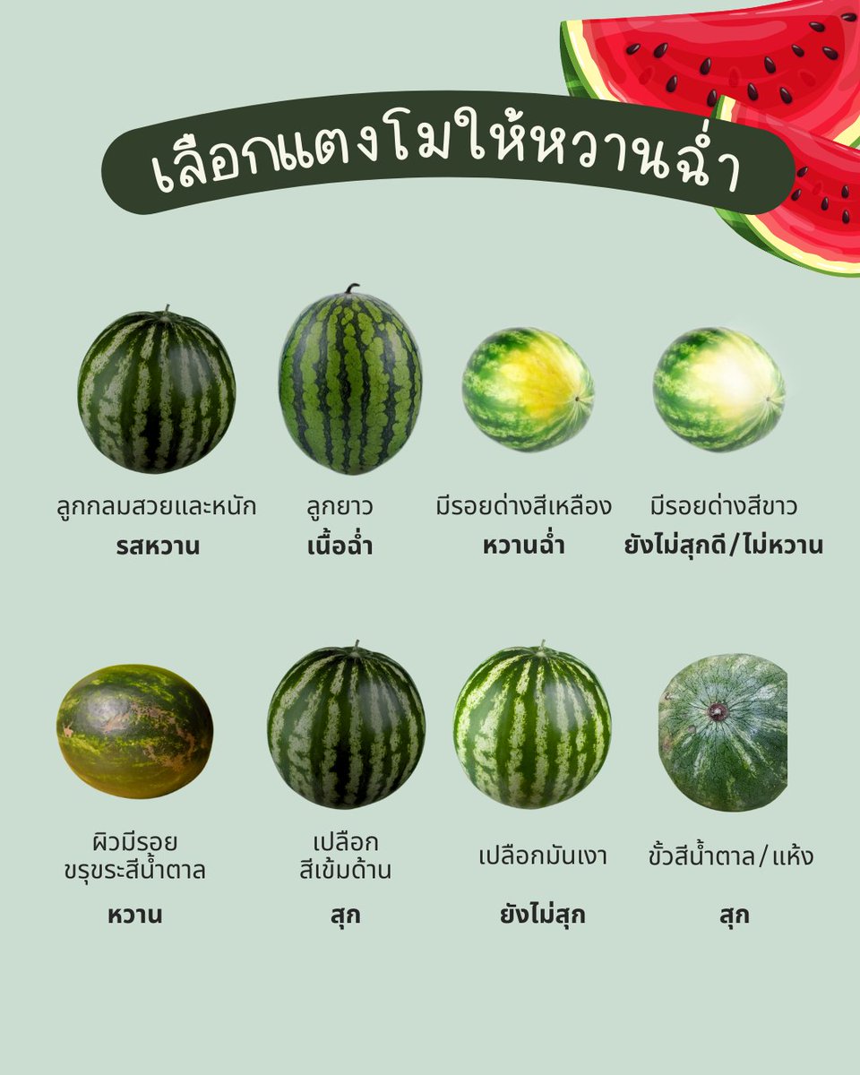ทุกคนอันนี้ดีมาก ดูยังไงว่าว่าแตงโมลูกไหนหวานฉ่ำอร่อย? ลูกไหนสุก? 🍉🍹