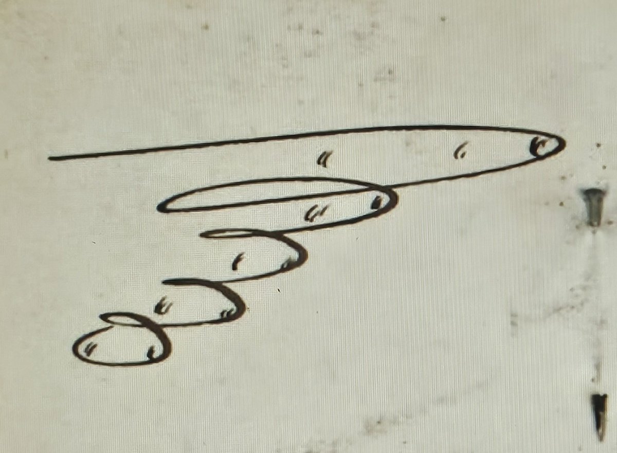 Louvain Rees ⚰️ tweet media