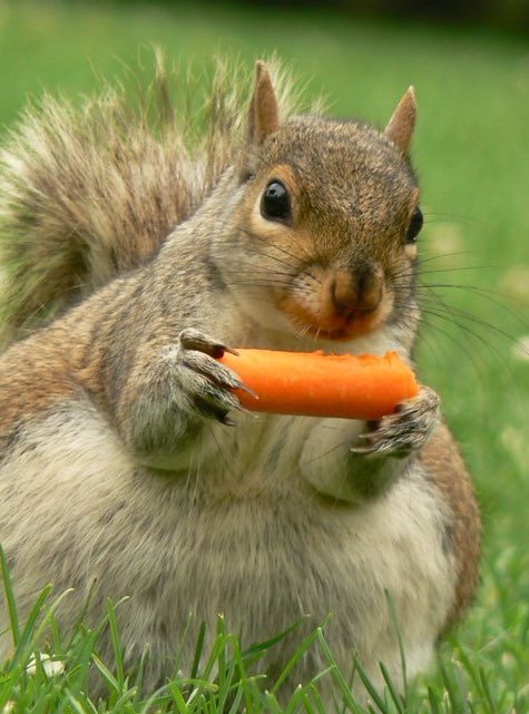 #이거지창민 🐿️🥕
