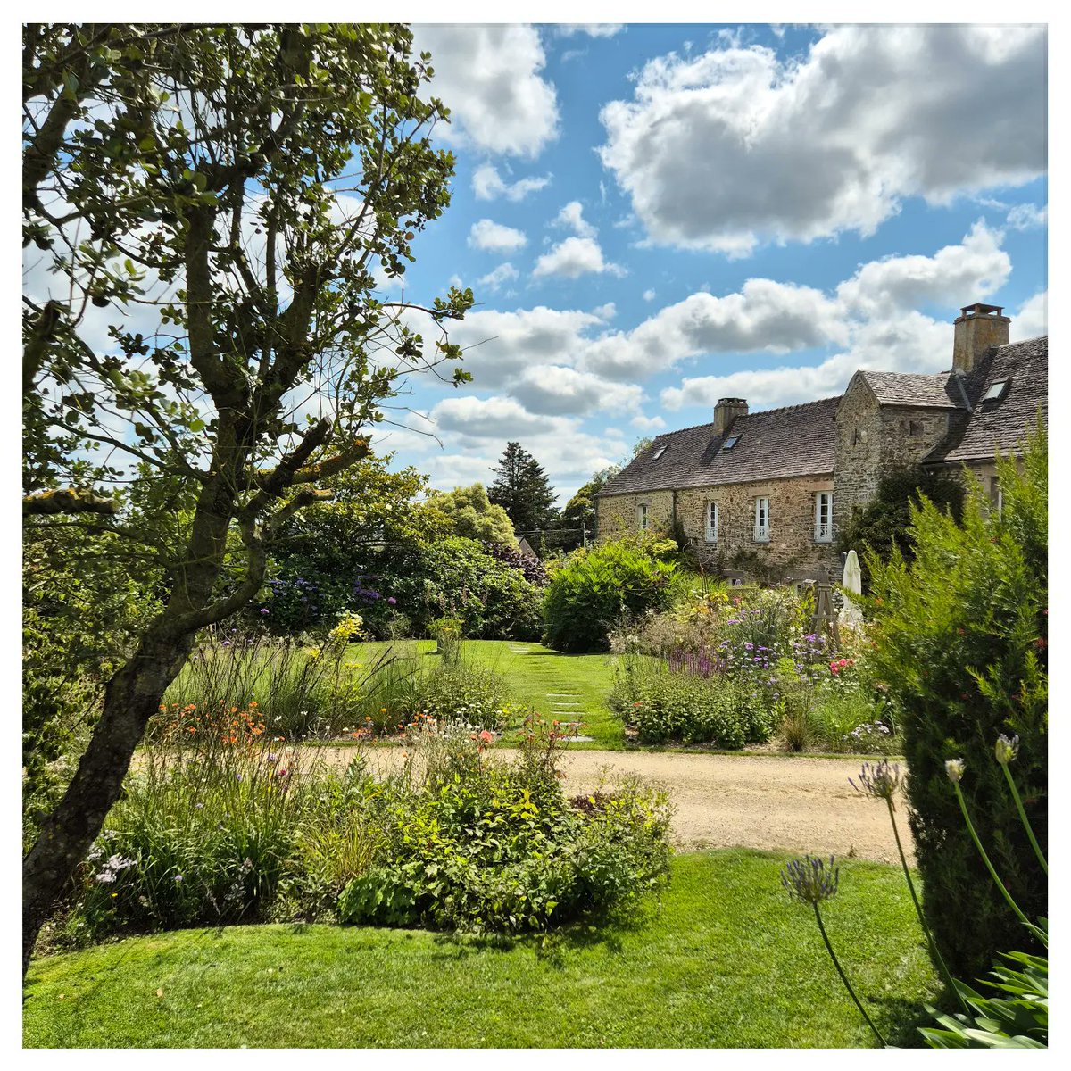olir2b's tweet photo. [Jardin] L'accès au gîte est comme nous le souhaitions. Les guests accèdent à leur espace en traversant une plate-bande toute en transparence et en mouvement grâce aux vivaces et graminées du @le_jardin_de_gwen
.
https://t.co/LtxTcntcAU https://t.co/AnS3Z0hpNS