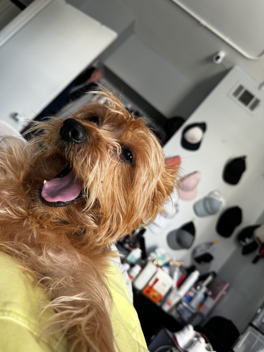 karitaca's tweet image. Mi bb maite #t13sabado