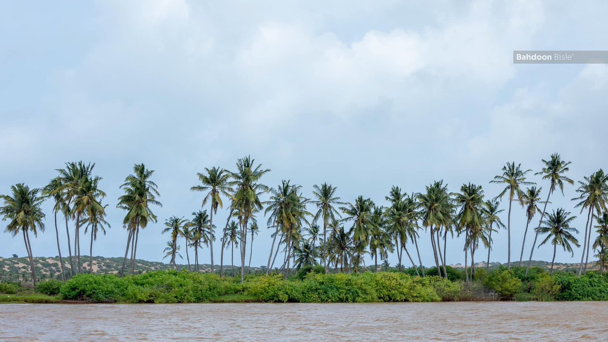 Hopeforsom's tweet photo. 📍 Goobweyn, Kismaayo.Lower Juba

Photo: @BahdoonBisle https://t.co/ugFW5EXwi1