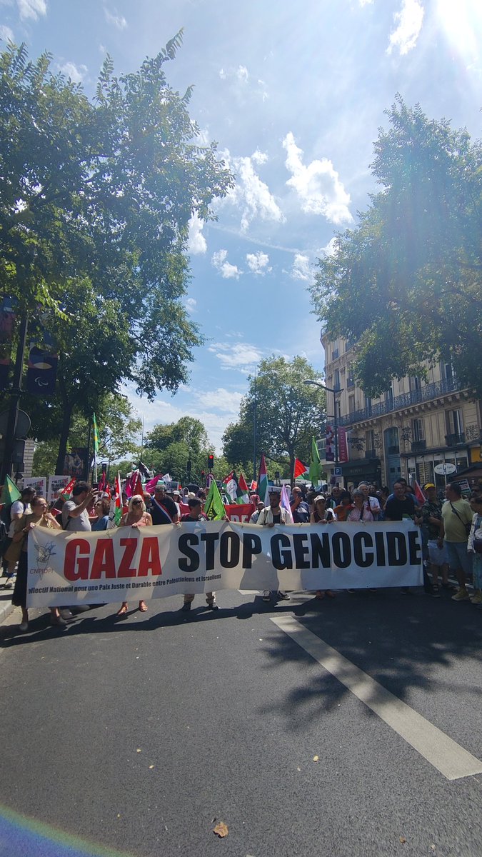 AFPSOfficiel's tweet photo. Au lendemain de la décision de la @CIJ_ICJ déclarant illicite l'occupation israélienne dans le Territoire palestinien occupé, les militants étaient dans les rues pour exiger le respect du droit et la fin immédiate du génocide, de l'apartheid et de la colonisation en Palestine. https://t.co/LbsseEctwJ