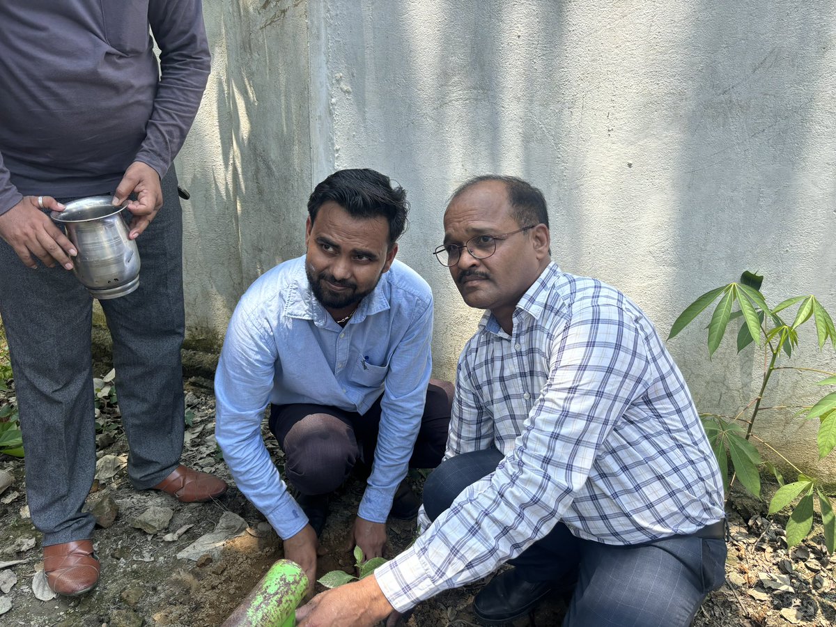 एक पेड़ माँ के नाम