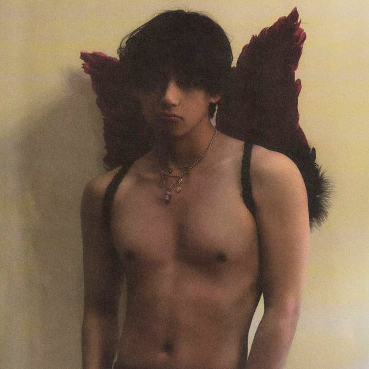 ✦ tweet media