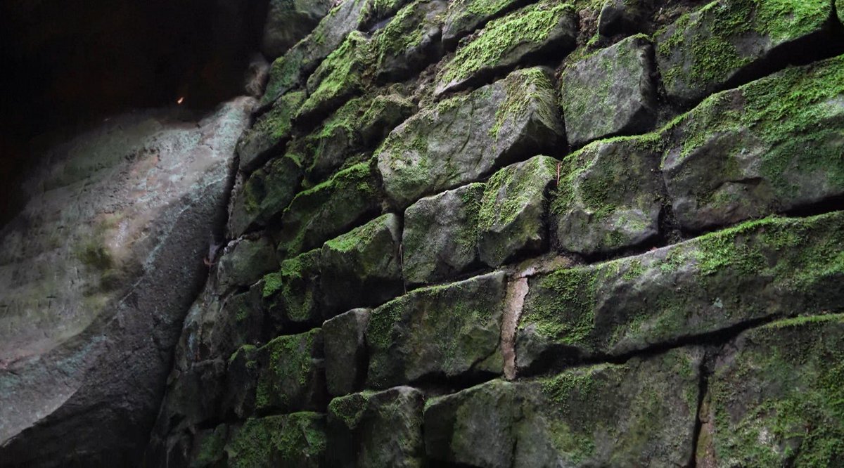 Wellganeo's tweet photo. Pretty happy about my latest photogrammetry scan last weekend. I tried to match the same lighting setting as the original pic in Blender https://t.co/2d4GRju7On