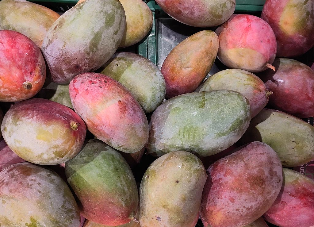 kuriosetage's tweet photo. Mangos. Gesund und lecker. 🥭🥭🥭 Den 22. Juli feiern die USA als ihren nationalen Tag der Mango (engl. National Mango Day). Guten Appetit. #TagderMango #NationalMangoDay #foodholiday #22Juli #kuriosefeiertage #mango
https://t.co/M0m8aSRsNH https://t.co/kHfdBl6OSj