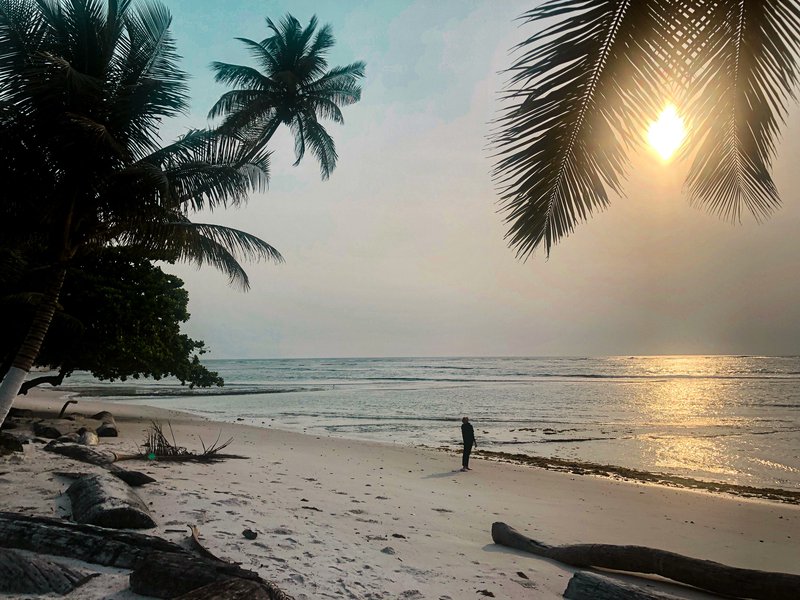 GuerraenlaUni's tweet photo. 5. Asociamos las playas idílicas con cocoteros al Caribe, pero también las hay en el Golfo de Guinea, como esta de Guinea Ecuatorial. Los cocoteros, sin embargo, sí los trajeron los europeos -para alimentar a sus tripulaciones en ruta a las Indias. https://t.co/3gh96yWXzi