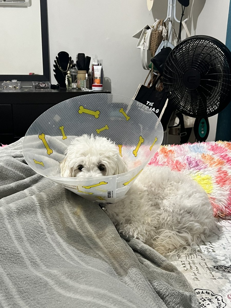 arhemii's tweet photo. Buenos dias https://t.co/QzV5NERjmf