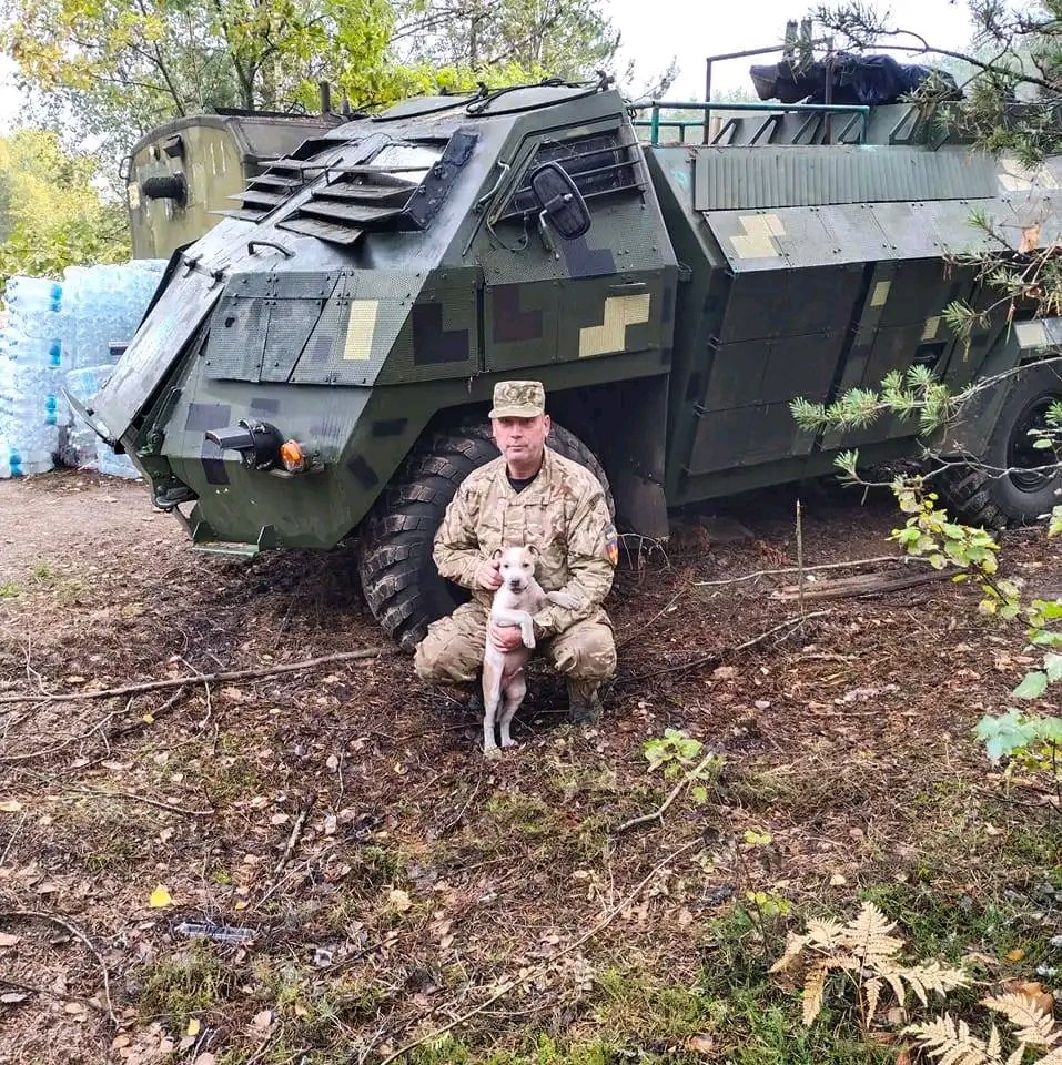 #Ukraine: From the Archives - One of the rare photographs of a rare Ukrainian "Ovod" APC based on the GAZ-66 chassis developed by the Zhytomyr Armor Plant in the service of the 🇺🇦 #Ukrainian Army.

Photo from October 1, 2022 from Facebook

#UkraineRussiaWar #UkraineWar #USA #Kyiv