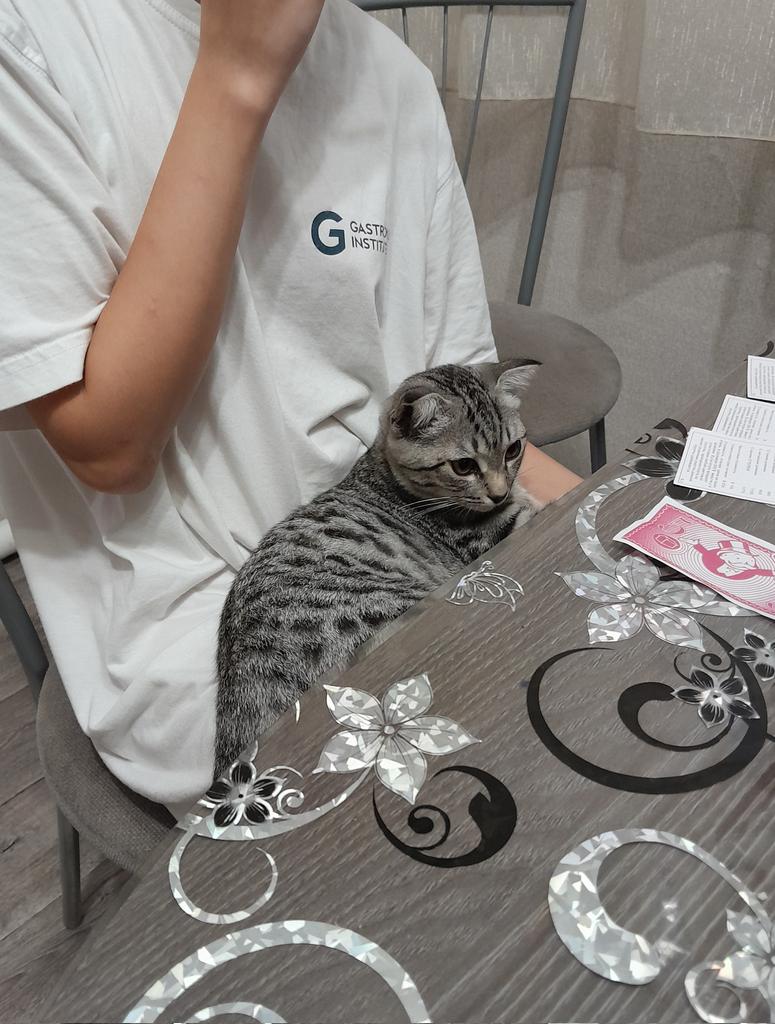 Я его кормлю, мóю, вычёсываю, спать с собой укладываю – 🤡
Он на руках какой-то герл, с которой знаком буквально неделю: