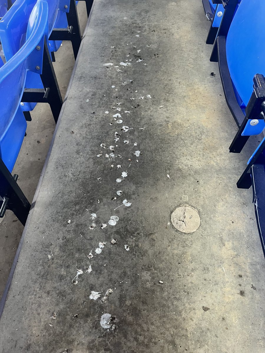 Paul Coyne tweet media