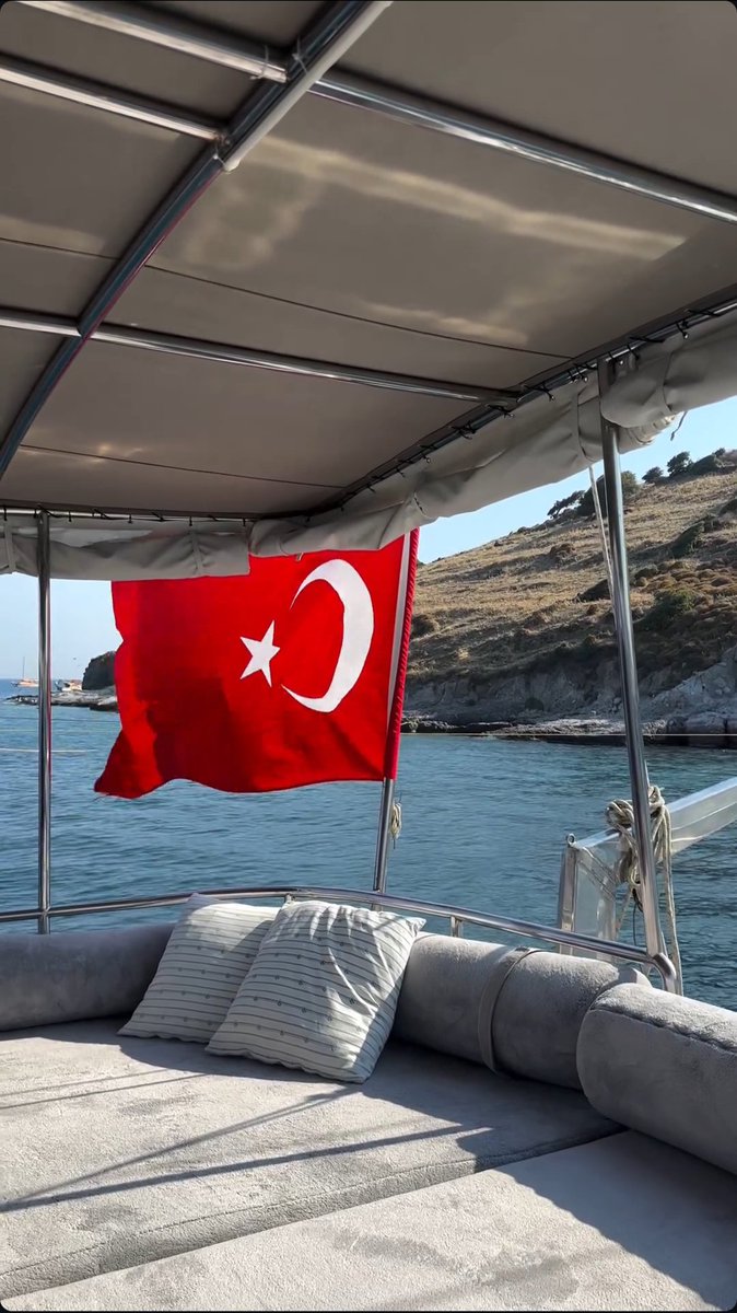 plmecc's tweet image. 