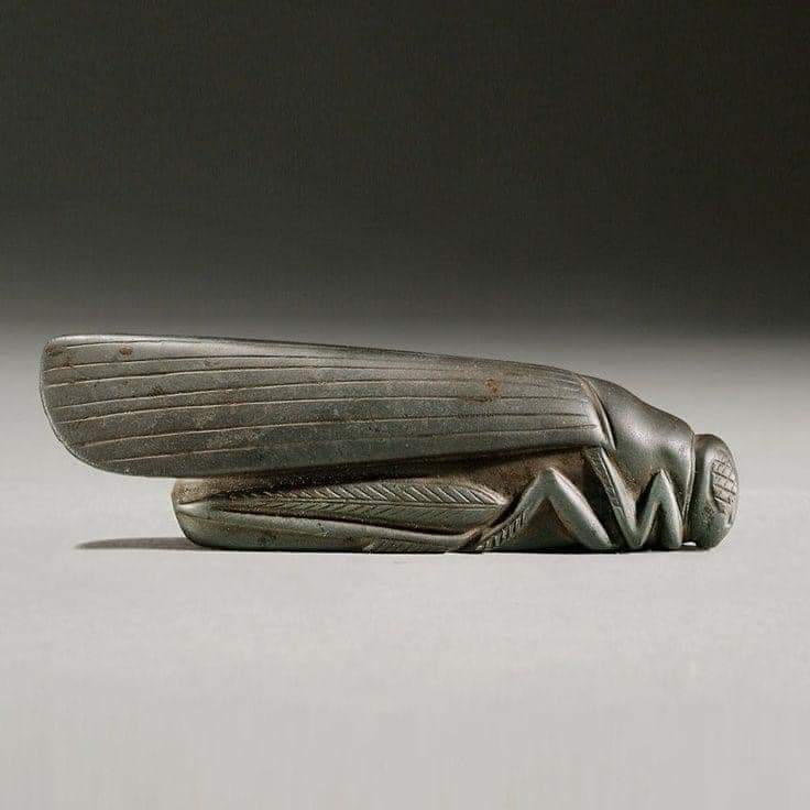 This paperweight, made of haematite carved in the shape of a grasshopper, looks pretty modern. But it was hand-carved between 1800-1700 BC, in ancient Babylonia (in modern-day Iraq).

British Museum

#drthehistories