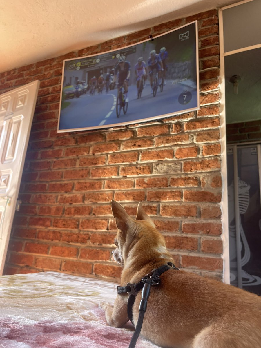 Seguimos viendo #ELTOURXRCN DESDE ##LojaEcuador