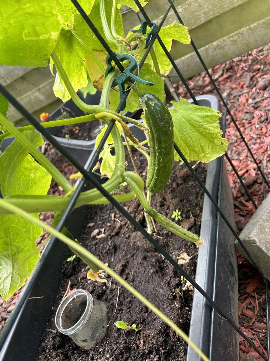 Den eerste! En nu ben ik vergeten of ik snack of gewone gezet heb… 🤦🏻‍♀️