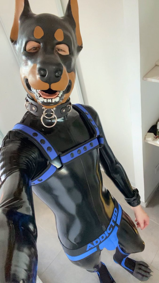 Not a naked pup tweet media