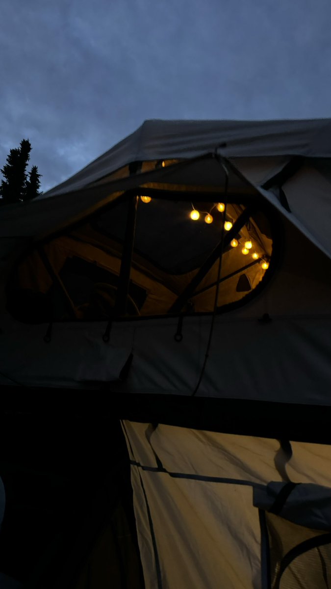 Luisa ✨ tweet media