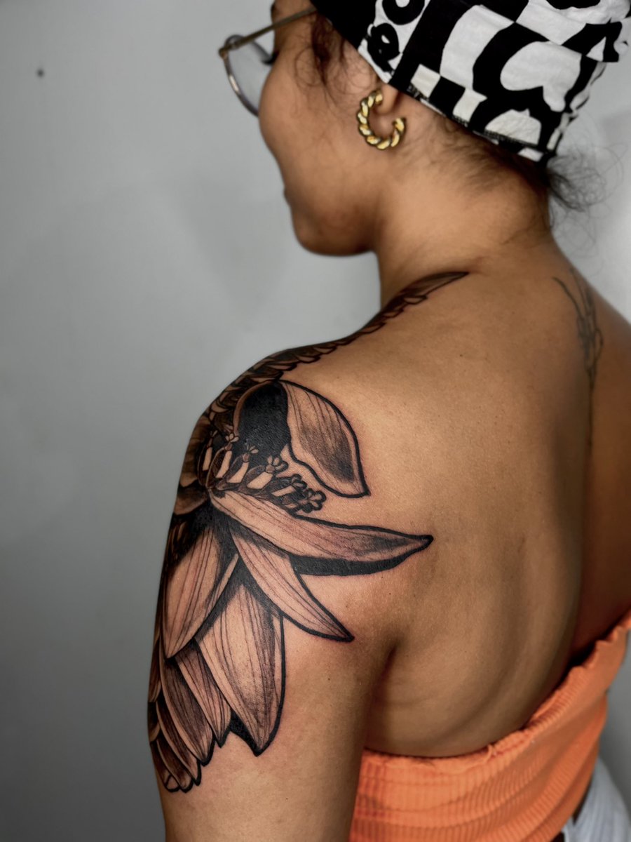 Ivih não Lívia tweet media