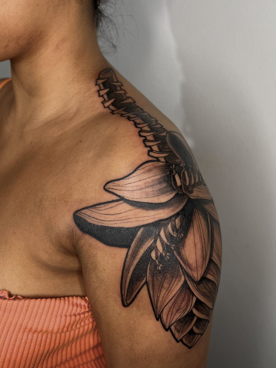 Ivih não Lívia tweet media