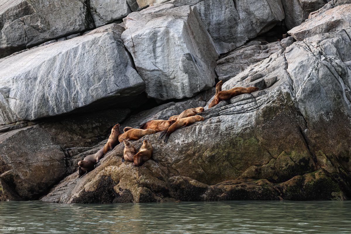 Greg Kolz tweet media